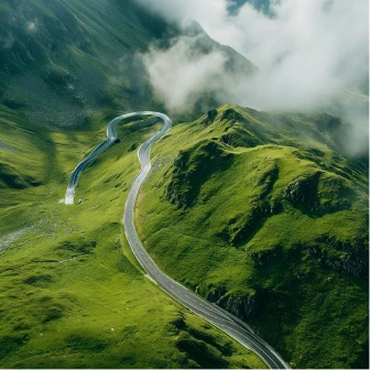 Sustainable development initiative partner